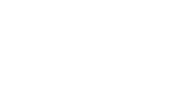 Movil Auto Stereo